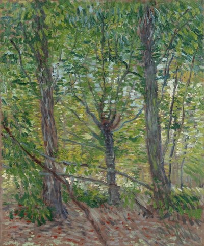Bäume von Vincent van Gogh